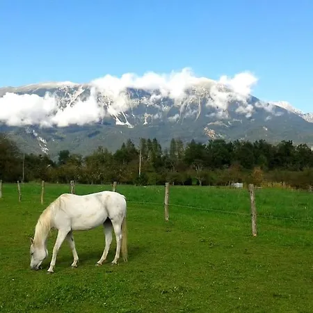 Apartma Kenda * Bled