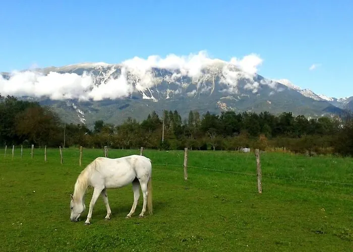 Apartma Kenda * Bled